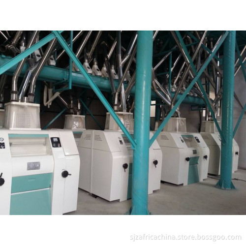 European Technology 10 - 500tpd Wheat Flour Milling Line